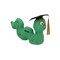 12" Personalized Graduation Autograph Green Stuffed Bookworm with Cap
